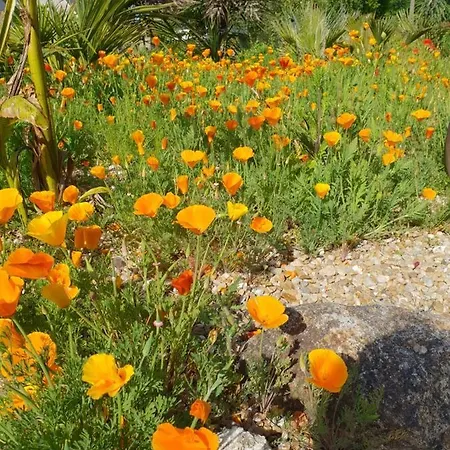 Mon Petit Coin De Bretagne Bed & Breakfast Riantec